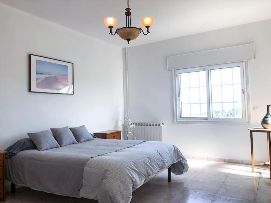 Maison Familiale De Caractere Avec Piscine Padronelo 외부 사진